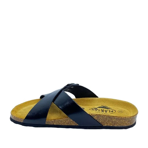 PLAKTON 638
